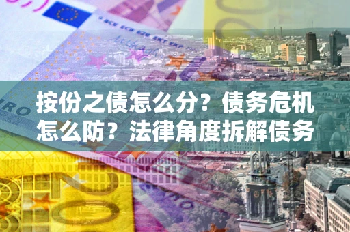 武汉按份之债怎么分？债务危机怎么防？法律角度拆解债务分配与风险自保指南