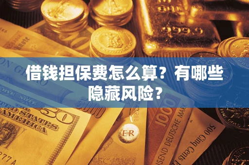 武汉借钱担保费怎么算？有哪些隐藏风险？