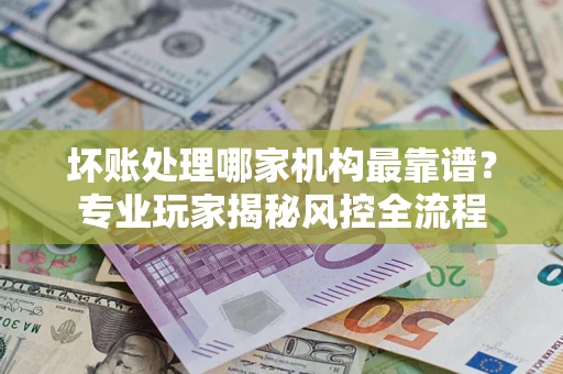 武汉坏账处理哪家机构最靠谱？专业玩家揭秘风控全流程