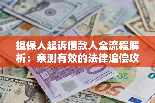 武汉担保人起诉借款人全流程解析：亲测有效的法律追偿攻略