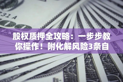 武汉股权质押全攻略：一步步教你操作！附化解风险3条自救法则