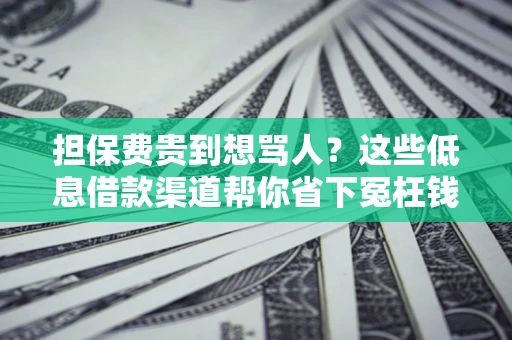 武汉担保费贵到想骂人？这些低息借款渠道帮你省下冤枉钱