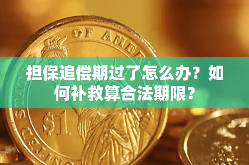 武汉担保追偿期过了怎么办？如何补救算合法期限？