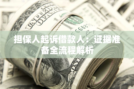 武汉担保人起诉借款人：证据准备全流程解析