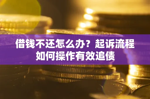 武汉借钱不还怎么办？起诉流程如何操作有效追债