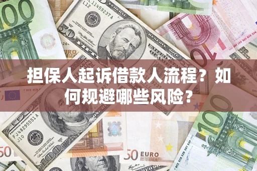 武汉担保人起诉借款人流程？如何规避哪些风险？
