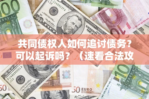 武汉共同债权人如何追讨债务？可以起诉吗？（速看合法攻略）