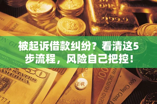 武汉被起诉借款纠纷？看清这5步流程，风险自己把控！
