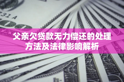 武汉父亲欠贷款无力偿还的处理方法及法律影响解析