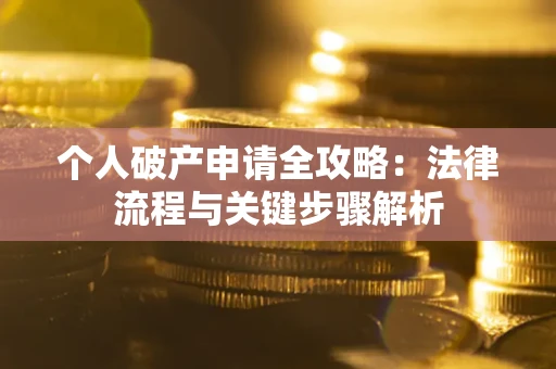 武汉个人破产申请全攻略：法律流程与关键步骤解析