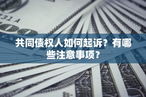 武汉共同债权人如何起诉？有哪些注意事项？